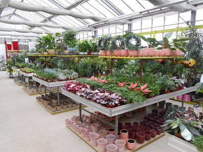 Renner Ihr Gartenparadies
