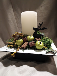 König's Floristik