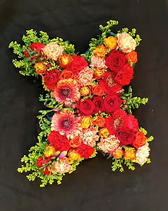 König's Floristik