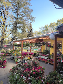Dang's Blumenhaus