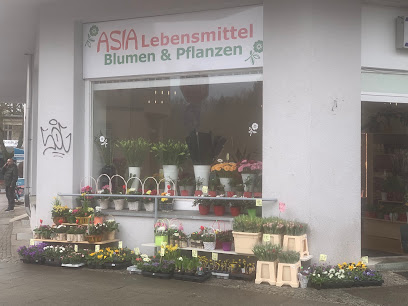 Asia Lebensmittel Blumen & Pflanzen