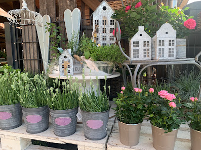 Blumenboutique - Cottbus
