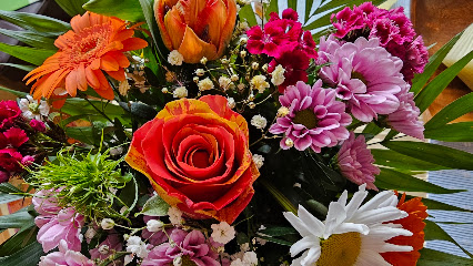 Blumenhaus Glodny
