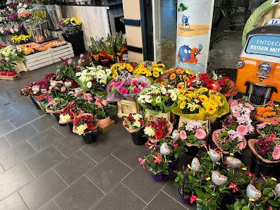 Dufte Blume Falkensee