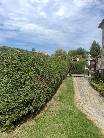 Garten
