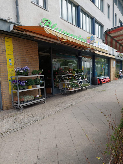 Blumenhaus Le Lan Falkensee
