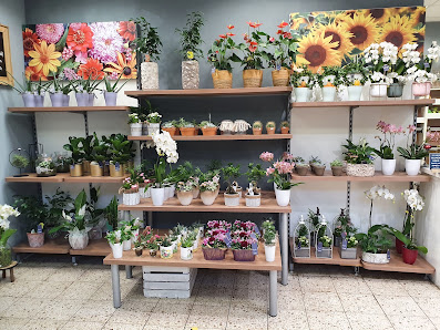 Bart & Bastian Shops Neutraubling