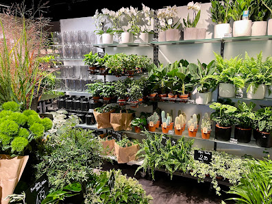 florali Eimsbüttel - Blumen in Eimsbüttel