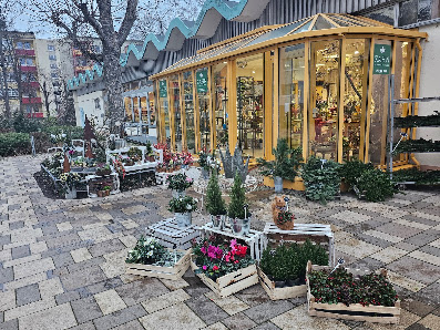 Blumenhandel Zahn GbR Generation Z