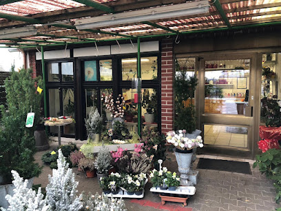 Blumenhaus Schossau