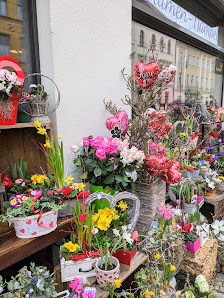 Blumen-Hampel