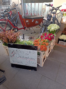 Blumen Holländer
