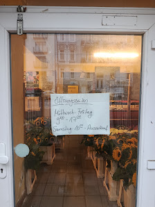 Blumen Holländer