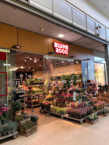 BLUME2000 Bernau