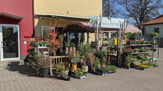 Blumenkreation Astrid Leffke