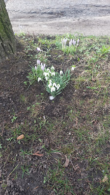 Blumenhaus Otte