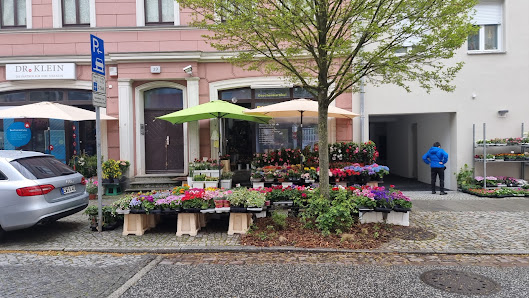 Blumen & Pflanzen Geschenkartikel