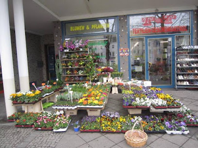 T&T Blumen-Textilien-und Geschenkartikel