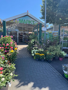 Schlestein Blumen- und Pflanzenmarkt GmbH