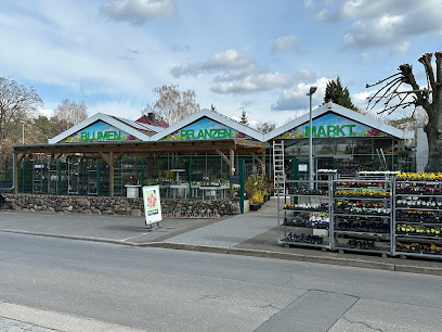 Schlestein Blumen- und Pflanzenmarkt GmbH