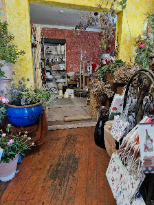 Exotica Blumen