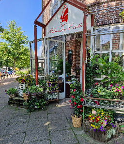 Exotica Blumen