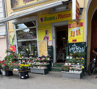 Blumen & Pflanzen Getränke Geschenke