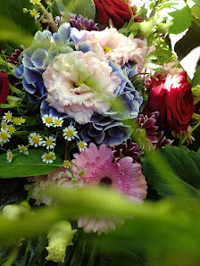 Eckes Blumenwelt Corinna Ecke