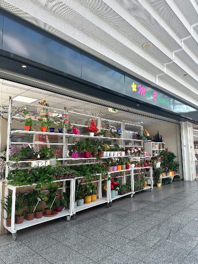 Blumenmarkt in Frankfurt (Oder)
