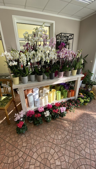 Gärtnerei und Blumenfachgeschäft Claudius