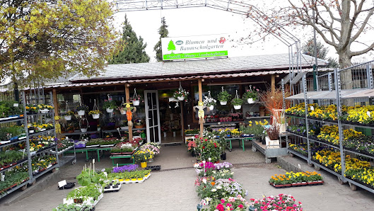 Andy Blumen & Baumschulgarten