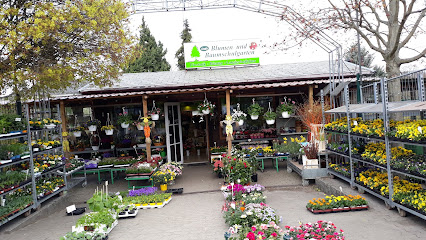 Andy Blumen & Baumschulgarten