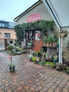 Blumen,Stil & Ambiente Stephanie Scharein