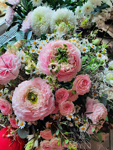 Blumen,Stil & Ambiente Stephanie Scharein