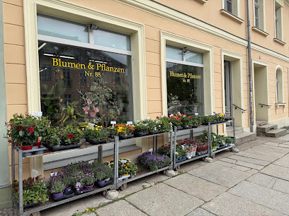 Blumenladen Nr. 88