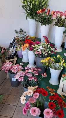 Blumen & Topfpflanzen