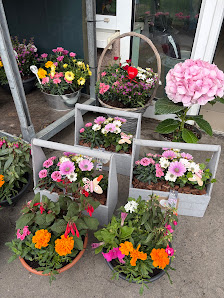 Blumeninsel (ehm. Blumenparadies)