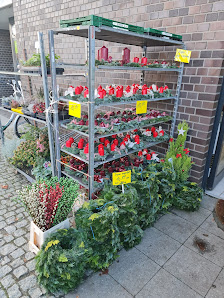 Blumenladen Flower Corner
