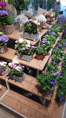 BLUME2000 Hamburg Volksdorf