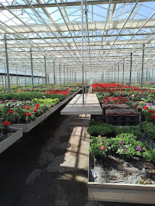 Fontana Gartenbau GmbH