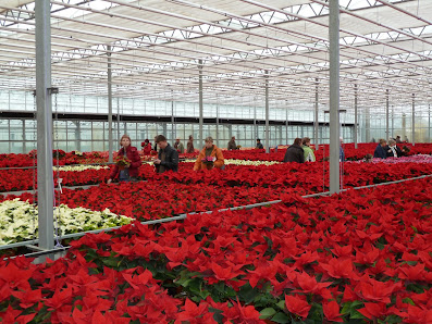 Fontana Gartenbau GmbH