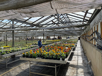 Andrea Lüders Gartenbau