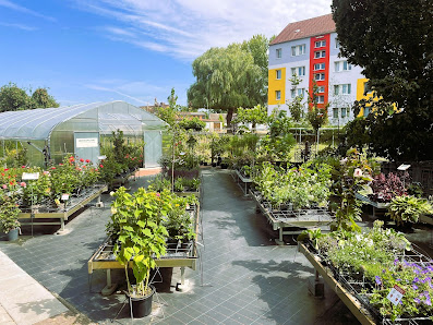 Schwander Baumschulhandel & Floristik GmbH