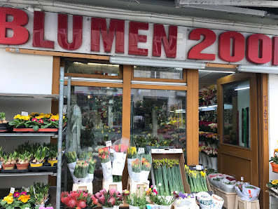 Blumen 2001