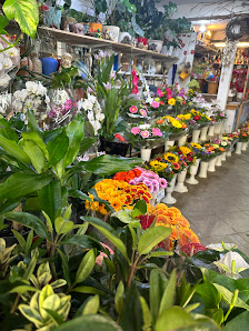 Blumen 2001