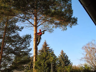 Gartenbau Strausberg