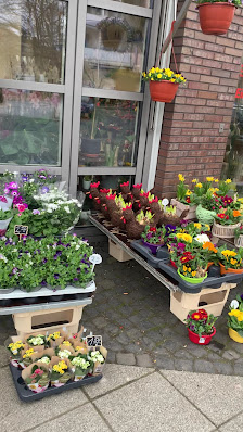 BaoBao Blumen