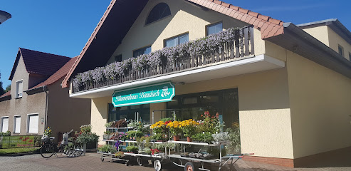 Blumengeschäft