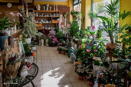 Tina`s Floristik