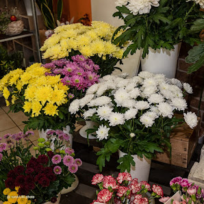 Tina`s Floristik